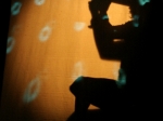 Gallery FANTASTICO PINOCCHIO